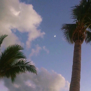 国内美女厕所流露
