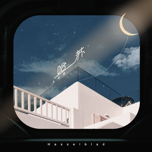 国内美女厕所流露
